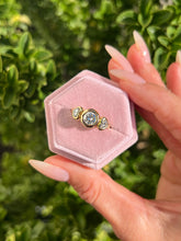 Charger l'image dans la galerie, Vif d'Or