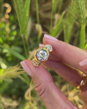 Charger et lire la vidéo dans la visionneuse de la Galerie, Vif d'Or