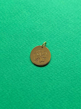 Charger l&#39;image dans la galerie, Médaille Trèfle/Coccinelle
