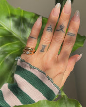 Charger et lire la vidéo dans la visionneuse de la Galerie, Joncs Pinky
