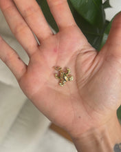 Charger et lire la vidéo dans la visionneuse de la Galerie, Grenouille
